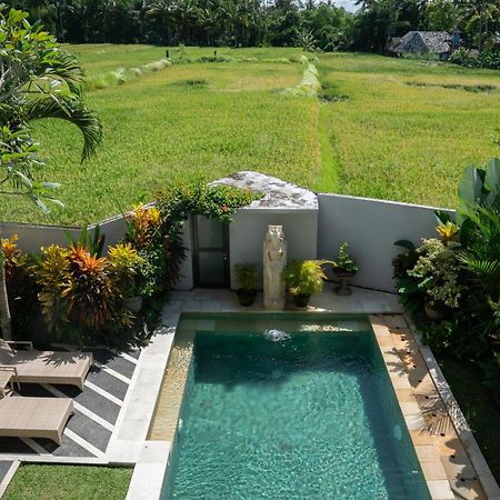 Ananditha Villa Ubud Ricefield Views 외부 사진