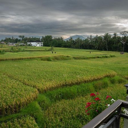 Ananditha Villa Ubud Ricefield Views 외부 사진
